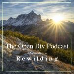 The Open Div Podcast